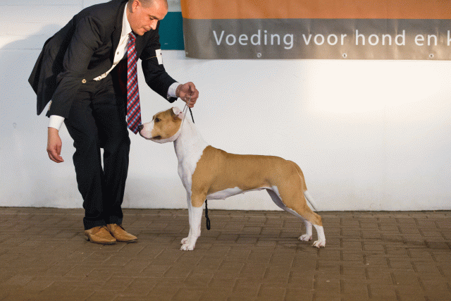 Cs3Q0708 15873320039 O