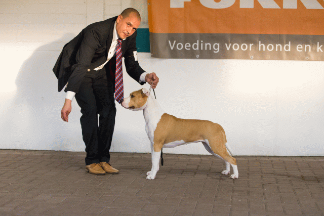 Cs3Q0709 16033610356 O