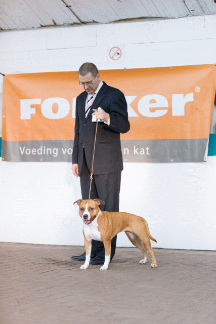 Cs3Q0710 15439729873 O