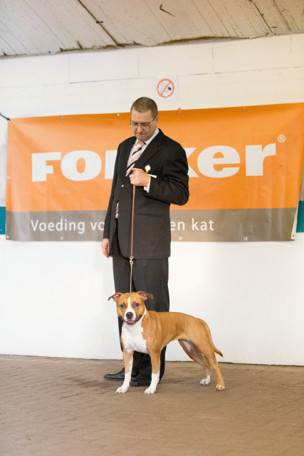 Cs3Q0711 16033608906 O