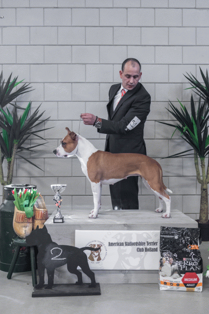 36A6259 38013617734 O