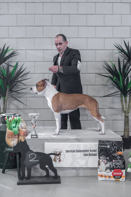 36A6256 38013618144 O