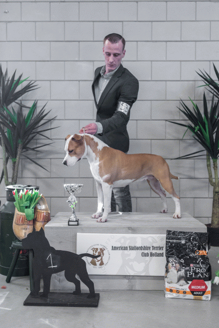 36A6267 38698654222 O