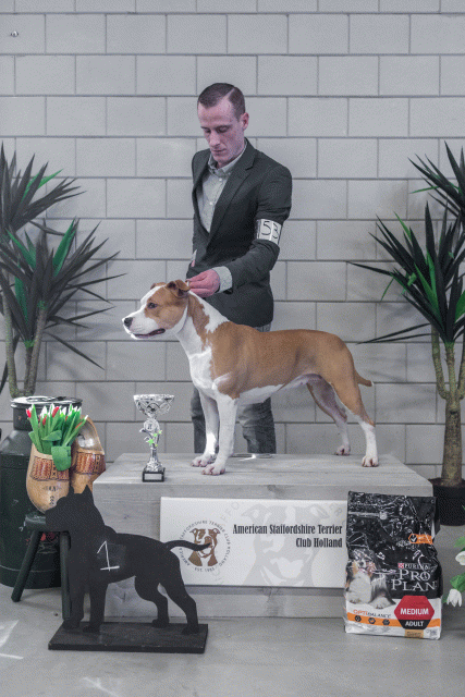 36A6266 38013616454 O