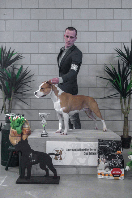 36A6270 38698652272 O