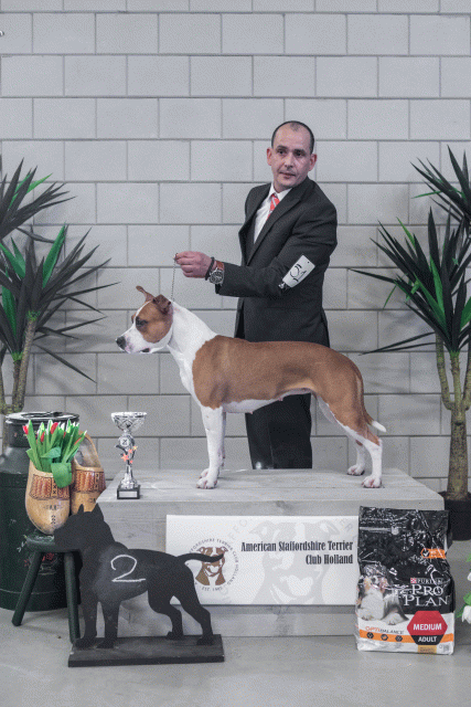 36A6260 24857774158 O