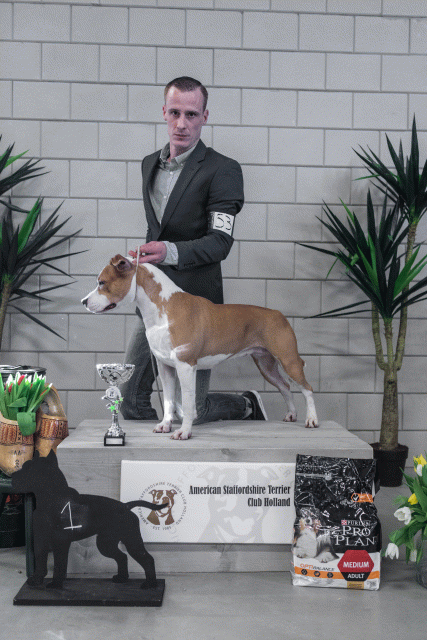 36A6271 38698651182 O