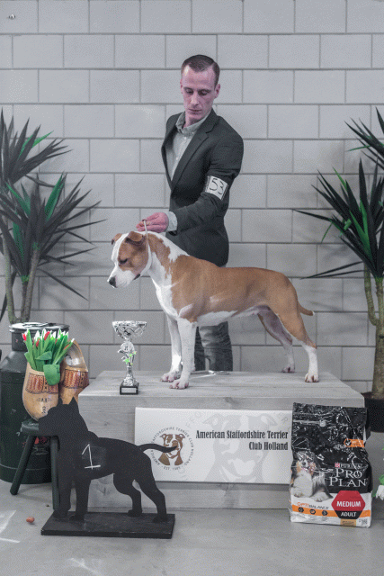 36A6268 24857772288 O