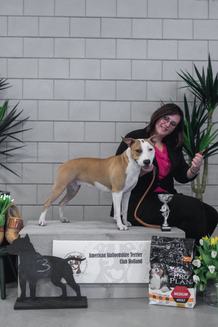 36A6283 37843161915 O