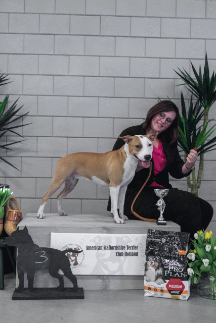 36A6282 37843162815 O