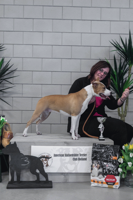 36A6281 37843162965 O