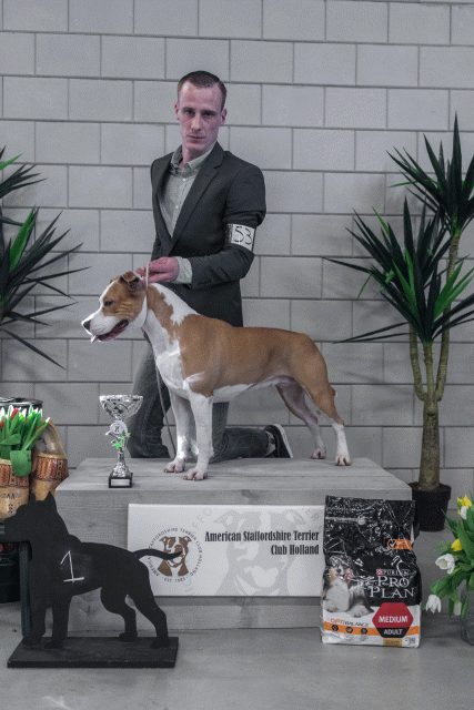 36A6272 37843164355 O