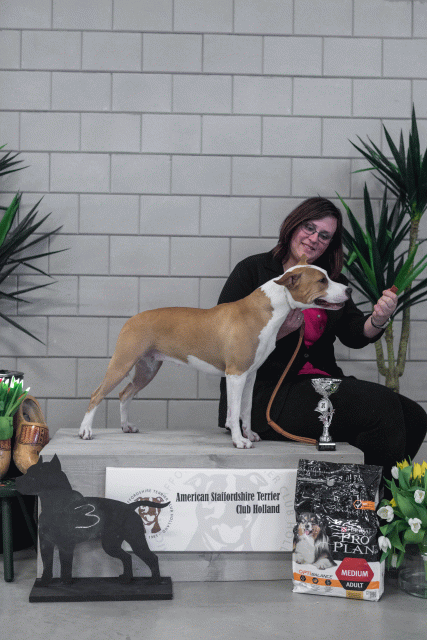 36A6280 38013613824 O