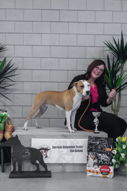 36A6284 38730836511 O