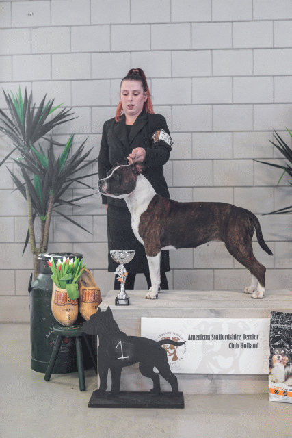 36A6285 37843160675 O