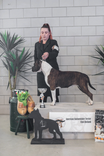 36A6286 38730835081 O