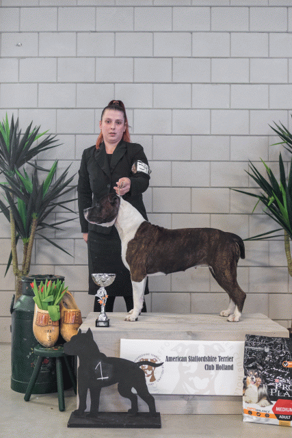 36A6289 37843158115 O