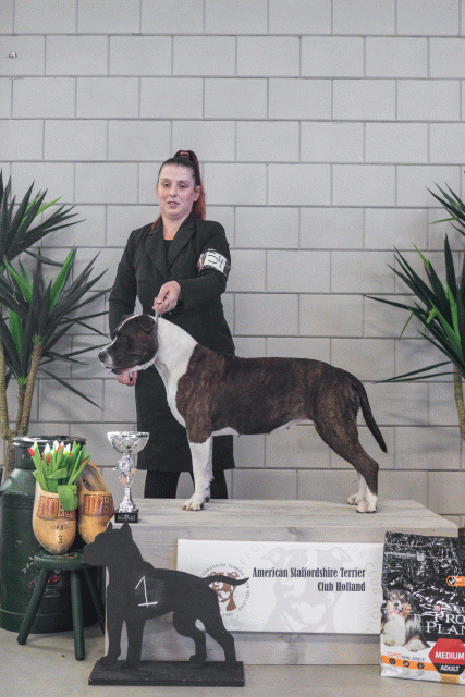 36A6292 37843155845 O