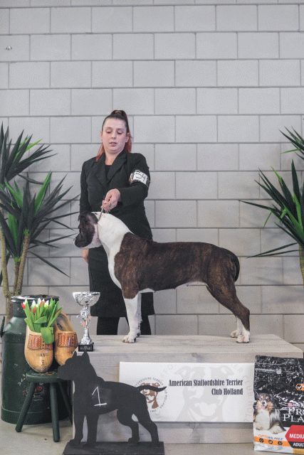 36A6290 37843157435 O