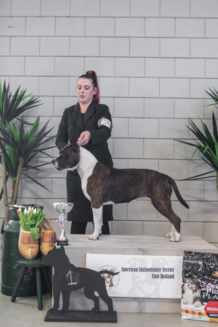 36A6291 37843156835 O