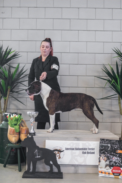 36A6294 24857763488 O