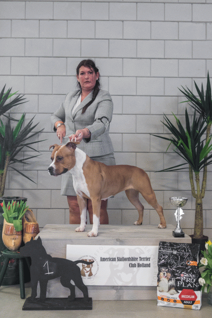 36A6296 24857762408 O