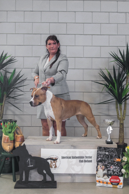 36A6297 38730826511 O