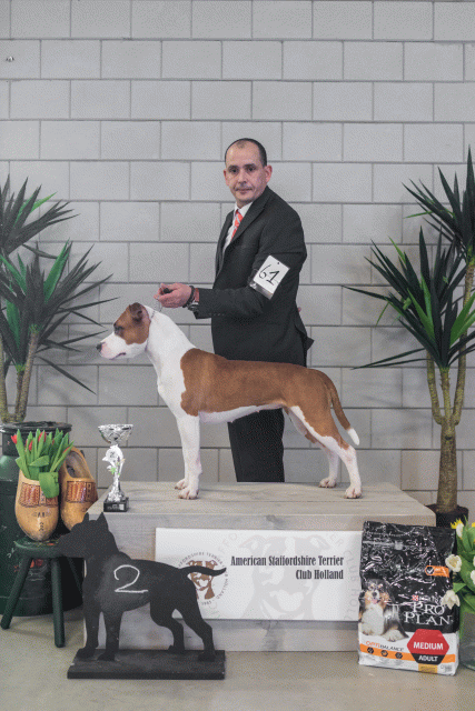 36A6299 24857760348 O