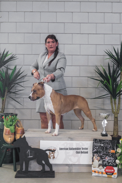 36A6295 38730828311 O