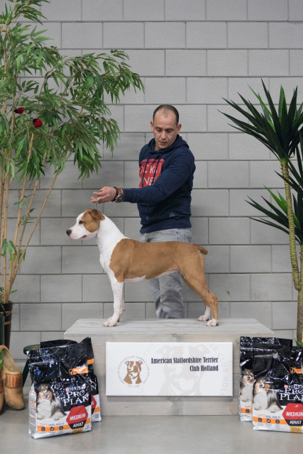 36A6062 38698814742 O