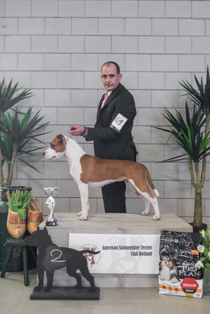 36A6300 38698632402 O