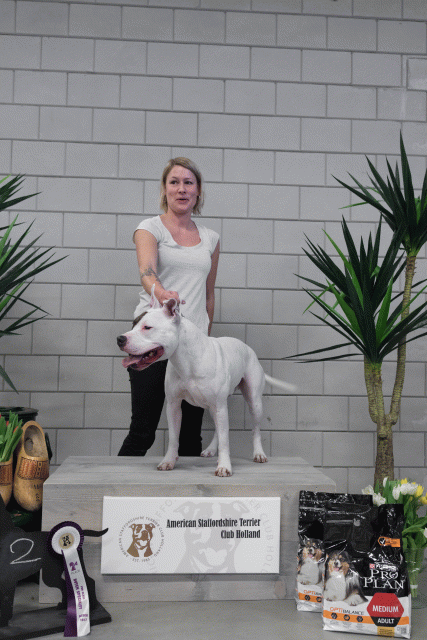 36A6073 26954952179 O