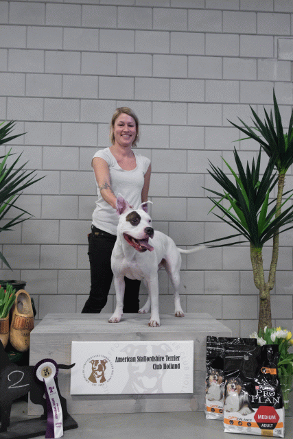 36A6072 38698813182 O