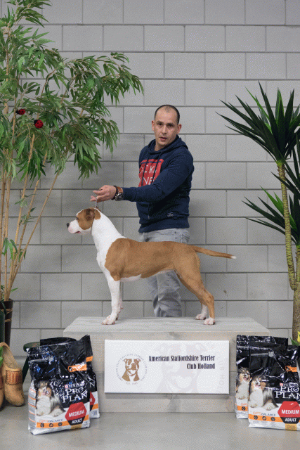 36A6063 26954952579 O