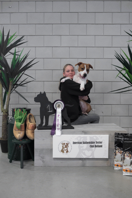 36A6090 26954950519 O