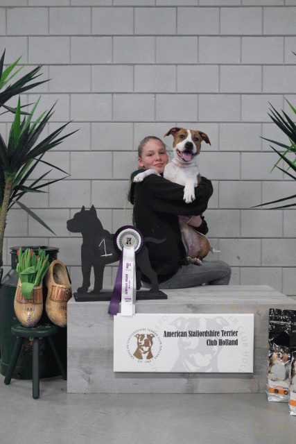 36A6089 38698808842 O