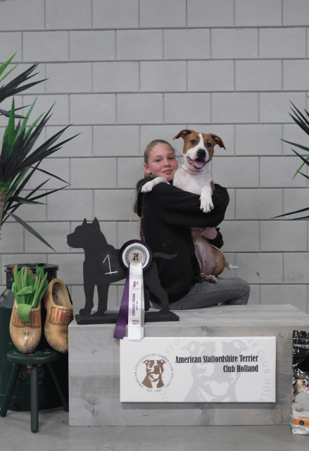 36A6088 38698809682 O