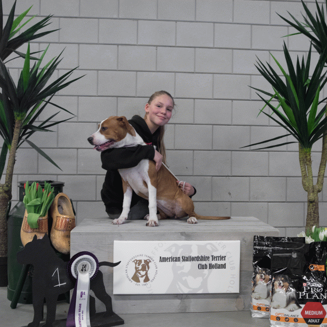 36A6083 38698811002 O