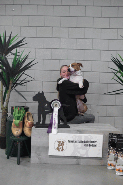 36A6087 38698810512 O