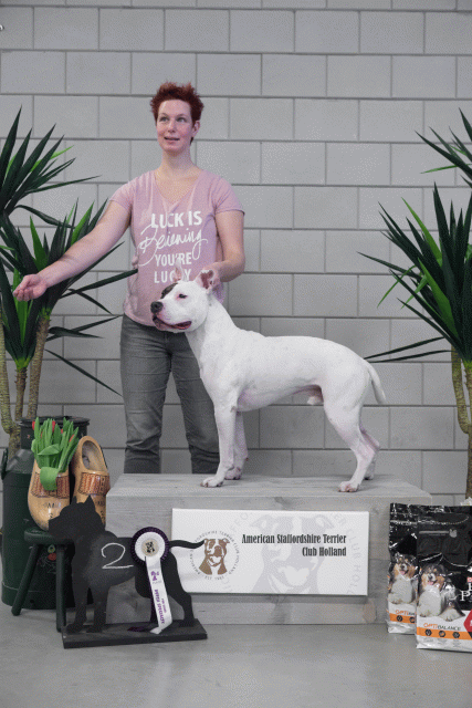 36A6091 38698805192 O