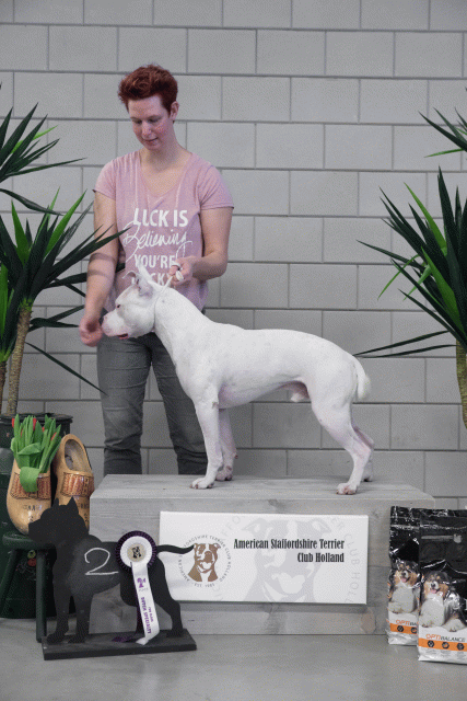 36A6093 38698804032 O