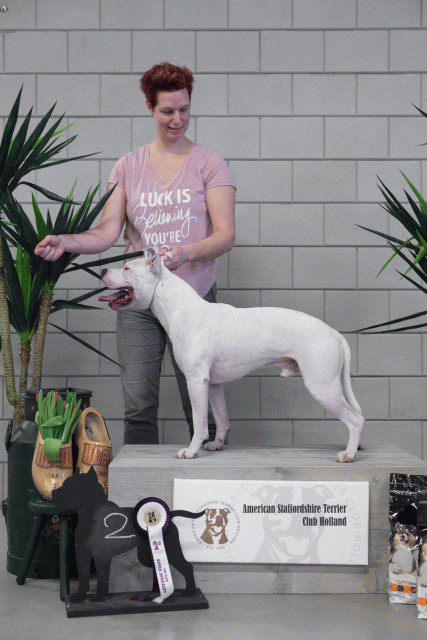 36A6094 26954949139 O