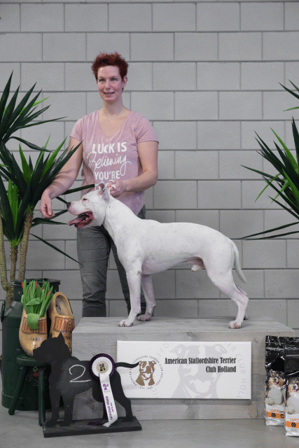 36A6095 38013726874 O