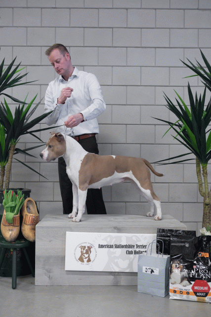 36A6100 26954947929 O