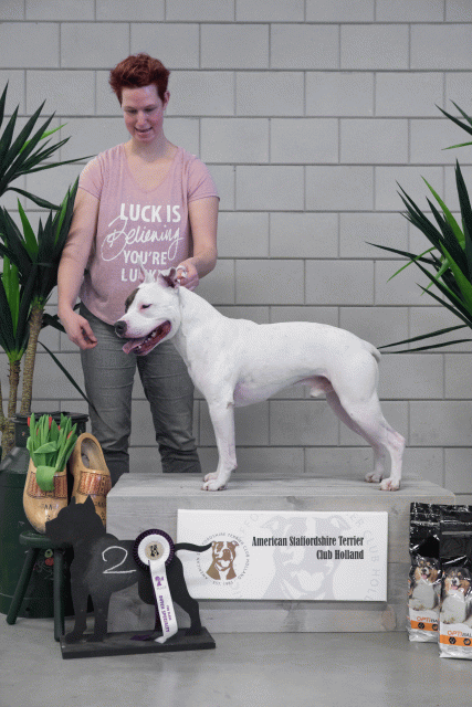 36A6098 26954948249 O