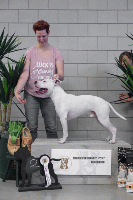 36A6096 26954948659 O