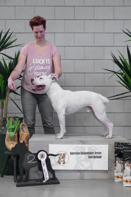 36A6097 38013725704 O