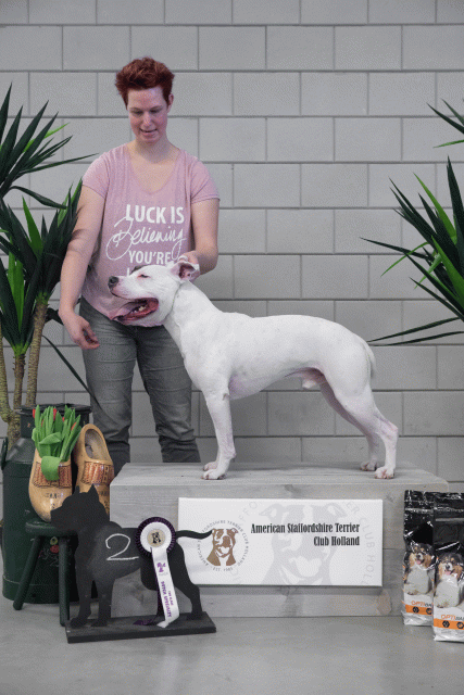 36A6099 38013724464 O