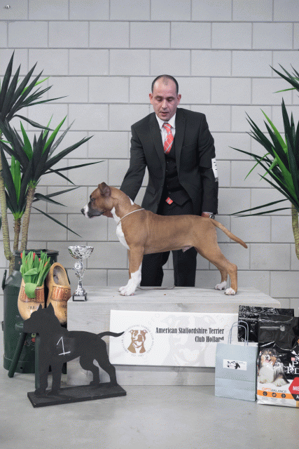 36A6106 38698794512 O