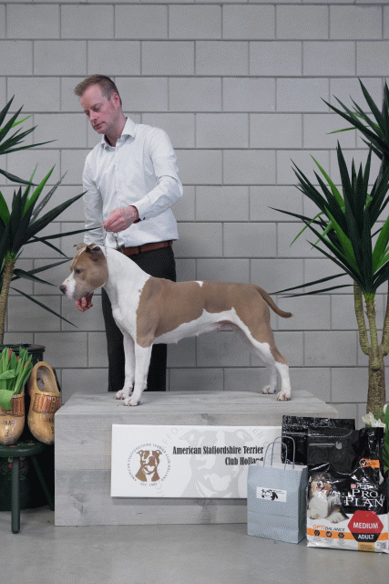 36A6101 38013723094 O